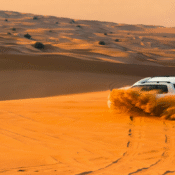 Desert Safari in Dubai